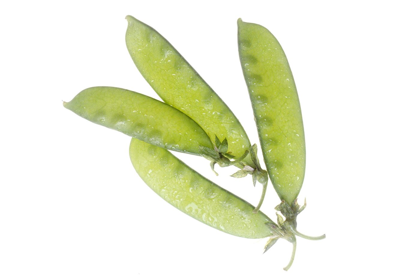 The Honest Pea