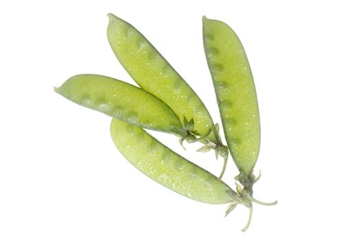 The Honest Pea