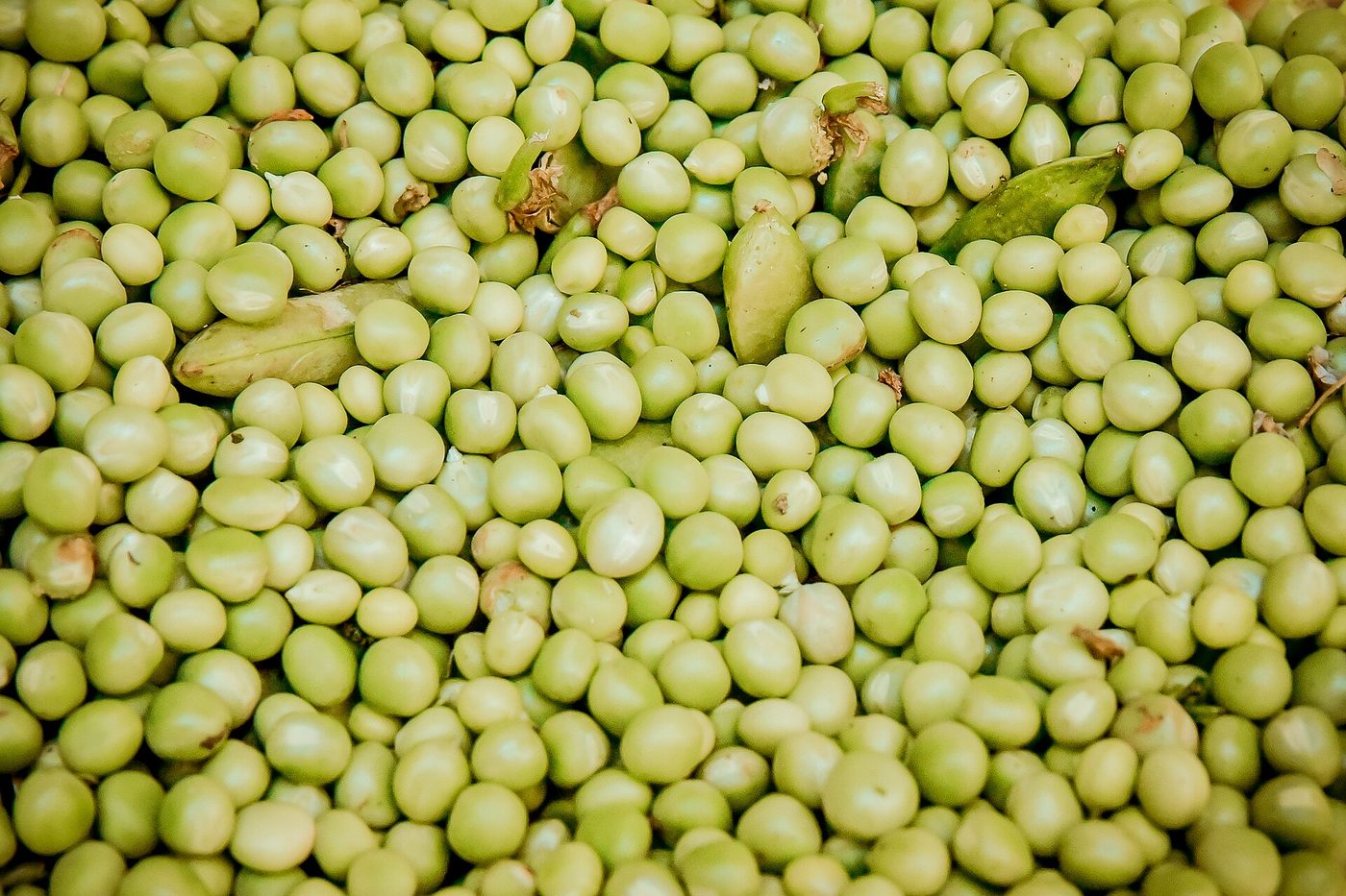 Split Pea Soup (Pre-Soup)