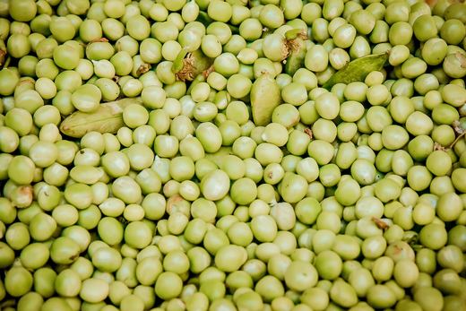 Split Pea Soup (Pre-Soup)