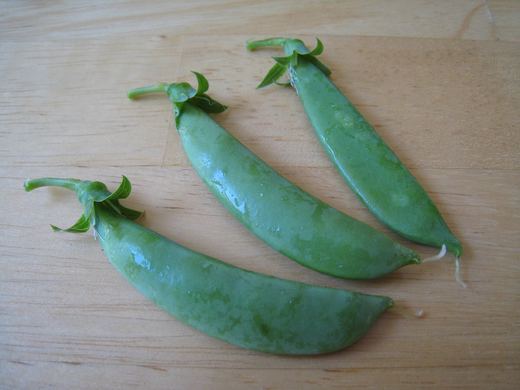 Sugar Snap Study No. 4